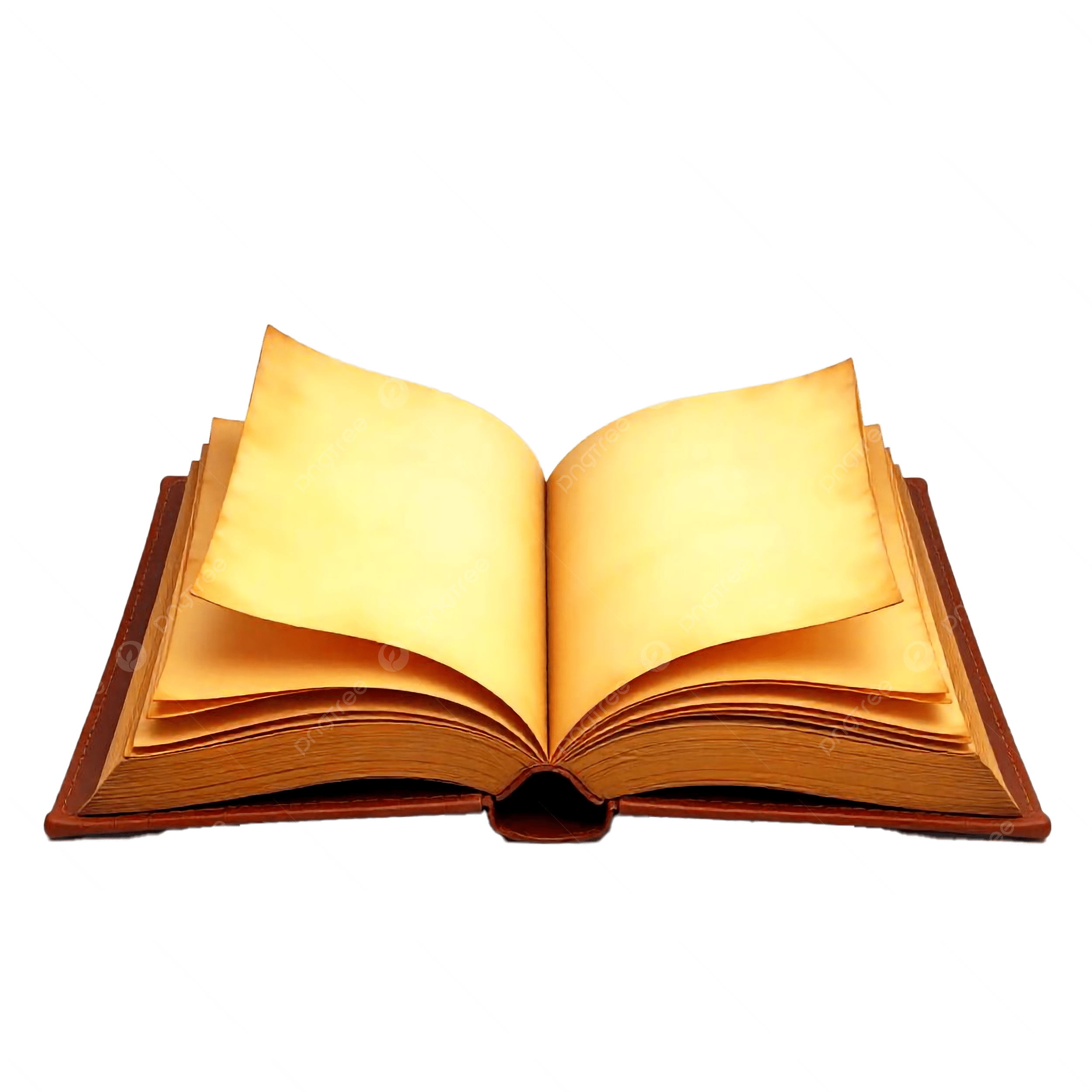 Ein anderes Lesen der Evangelien – ein Angebot